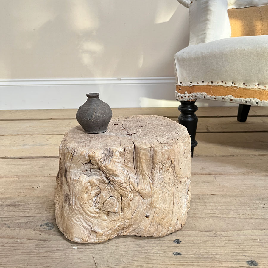 Small root wood antique tree stump | C