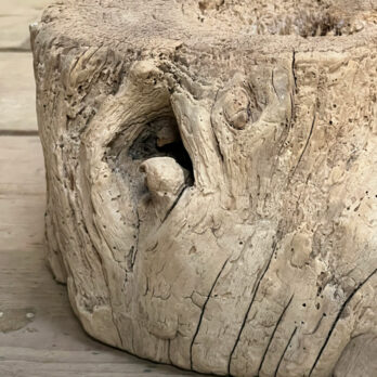 Small root wood antique tree stump | C