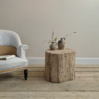 Large tree trunk side table | Cyrus