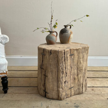 Large tree trunk side table | Cyrus