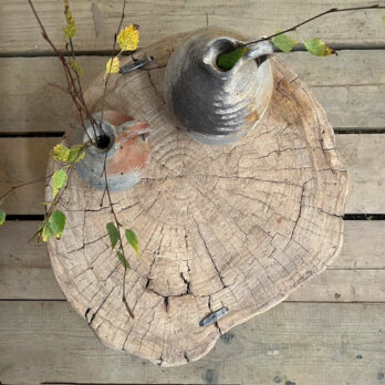 Large tree trunk side table | Cyrus