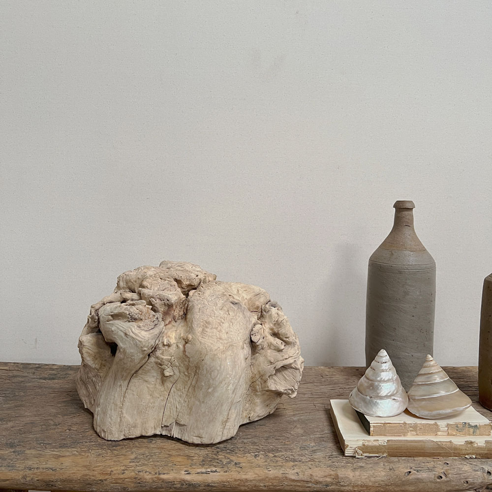 Small root wood antique tree stump | E