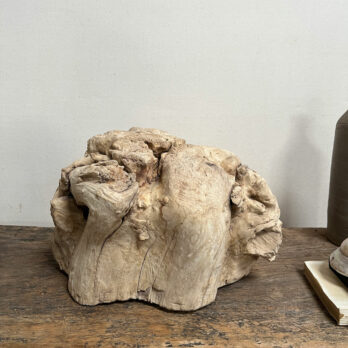 Small root wood antique tree stump | E