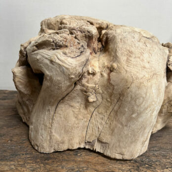 Small root wood antique tree stump | E