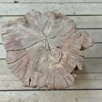 Huge tree trunk coffee table | Edgar