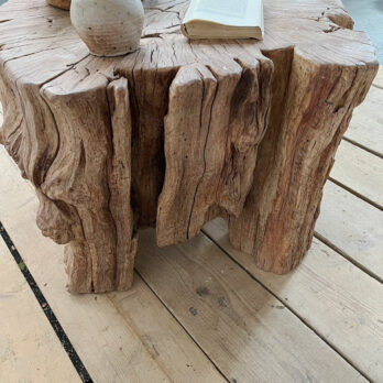 Huge tree trunk coffee table | Edgar
