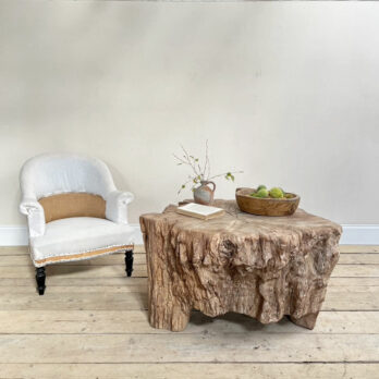 Huge tree trunk coffee table | Edgar