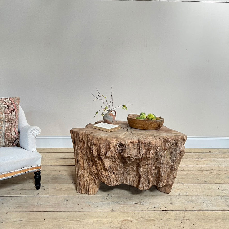 Huge tree trunk coffee table | Edgar