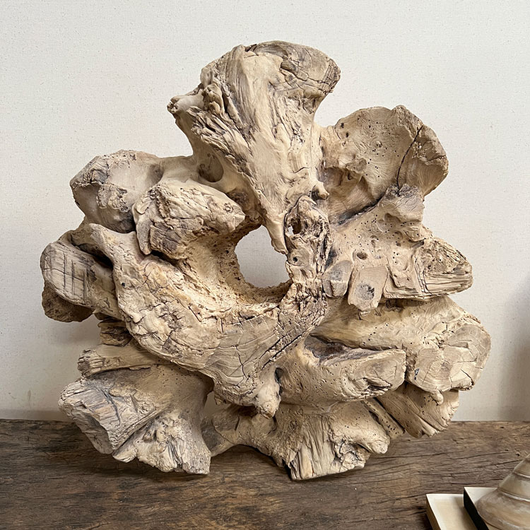 Small root wood antique tree stump | G