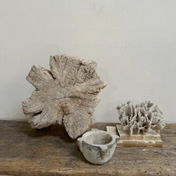 Small root wood antique tree stump | H