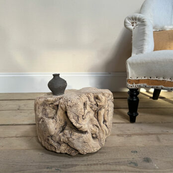 Small root wood antique tree stump | I