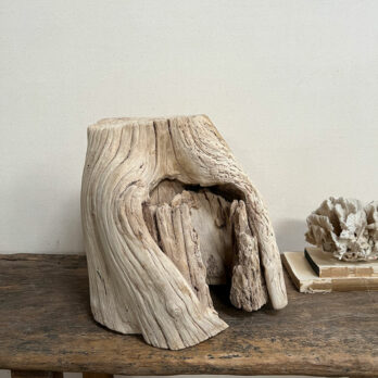 Small root wood antique tree stump | J