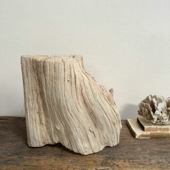 Small root wood antique tree stump | J