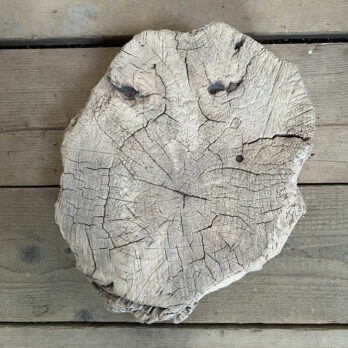 Small root wood antique tree stump | K