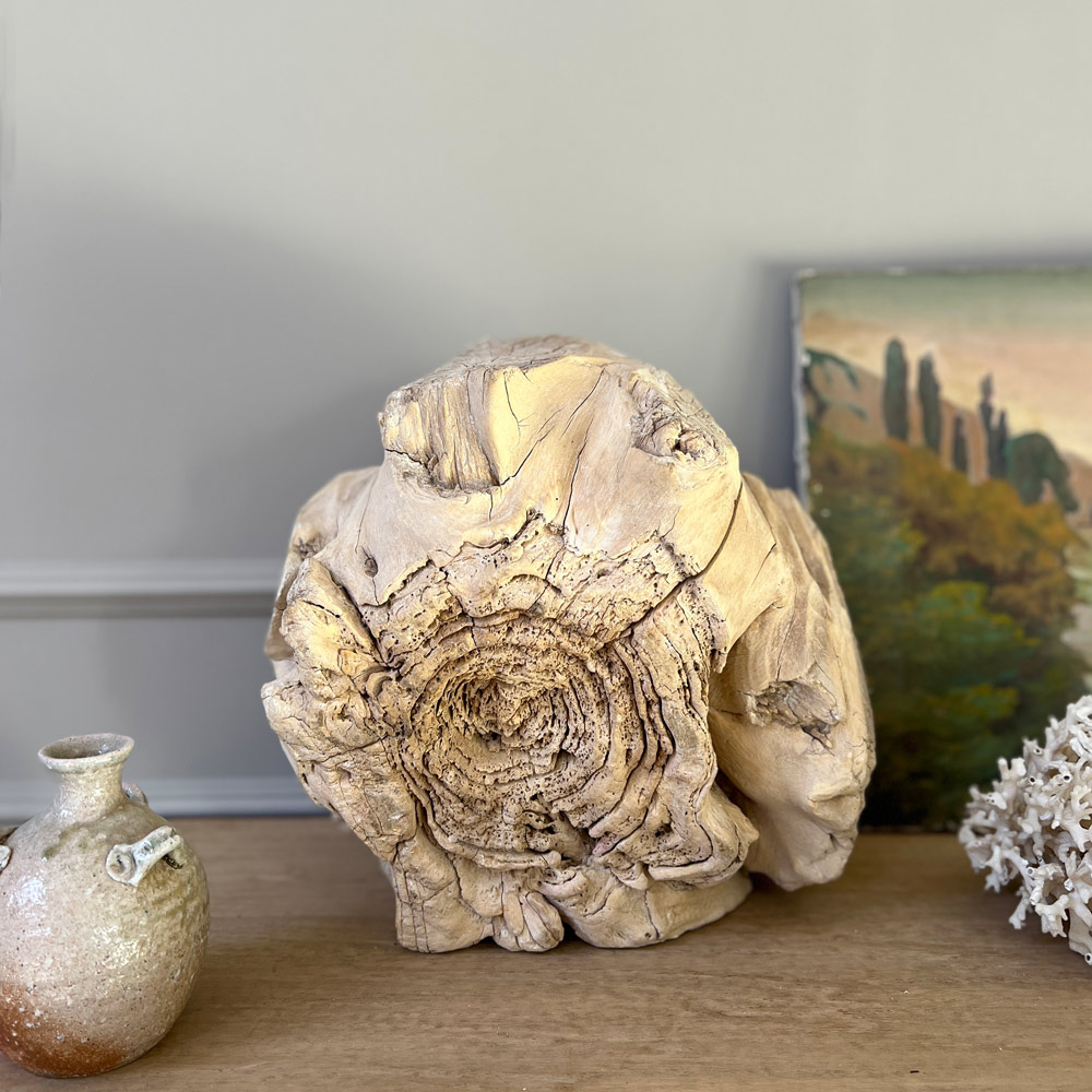SMALL ROOT WOOD ANTIQUE TREE STUMP | D