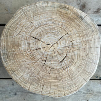 Large tree trunk side table | Angus