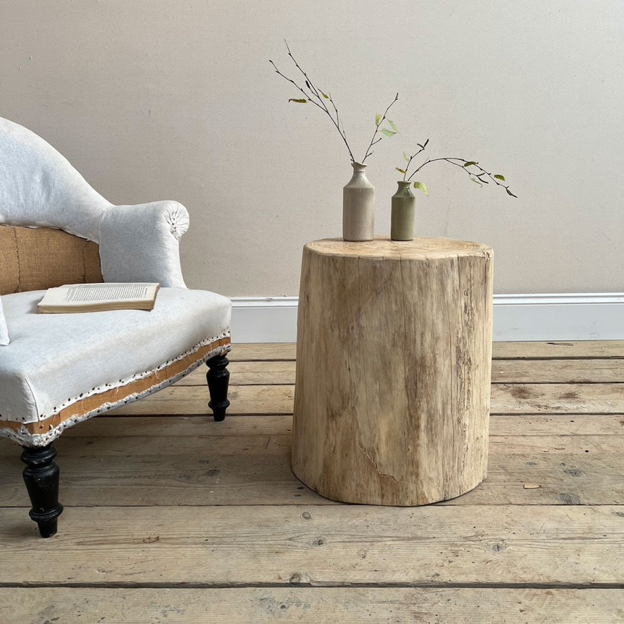 Large tree trunk side table | Angus