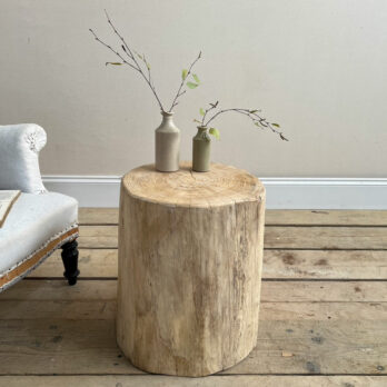 Large tree trunk side table | Angus
