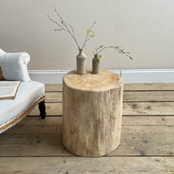 Large tree trunk side table | Angus
