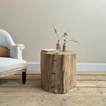 Large tree trunk side table | Bruno