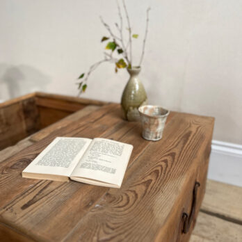 Antique rustic blanket box | Cosima