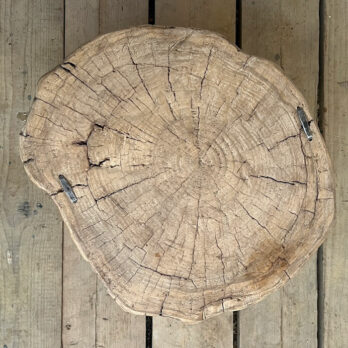Large tree trunk side table | Cyrus