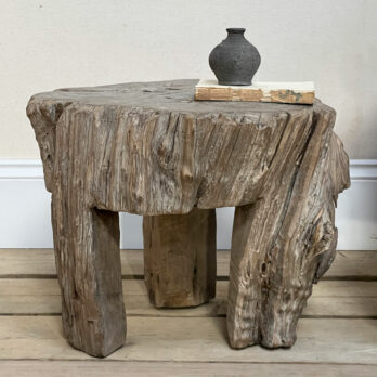 Medium tree trunk side table | Everett