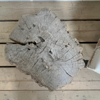 Medium tree trunk side table | Everett