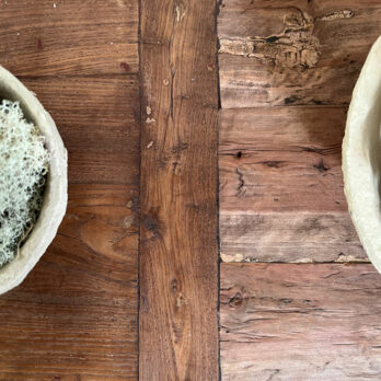 Antique original shop counter | Taylor