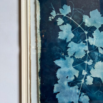 FRAMED CYANOPRINTS | BOTANICAL ARTWORK No: 3
