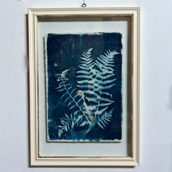 FRAMED CYANOPRINTS | BOTANICAL ARTWORK No: 4