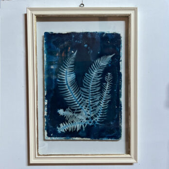 FRAMED CYANOPRINTS | BOTANICAL ARTWORK No: 5