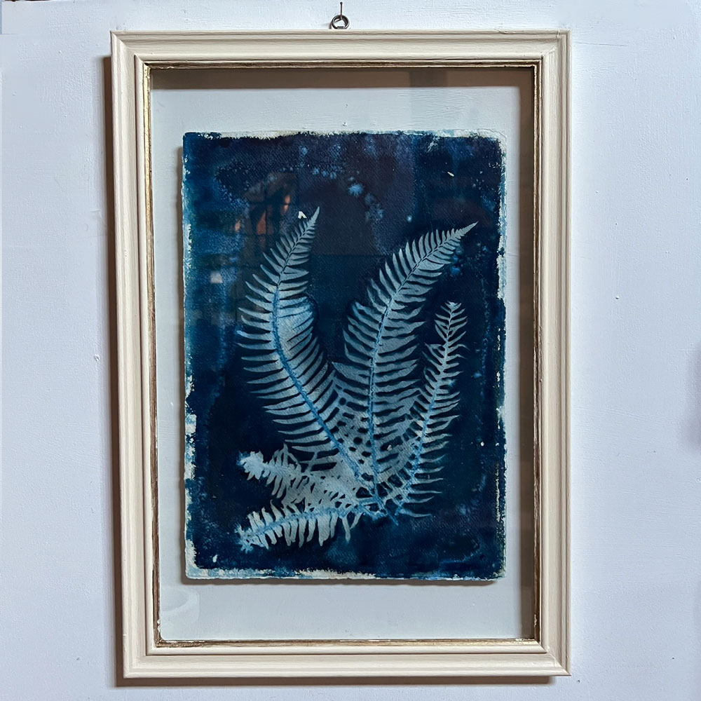 FRAMED CYANOPRINTS | BOTANICAL ARTWORK No: 5