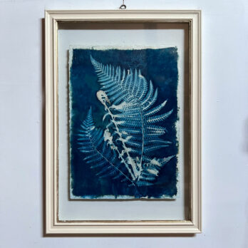 FRAMED CYANOPRINTS | BOTANICAL ARTWORK No: 9