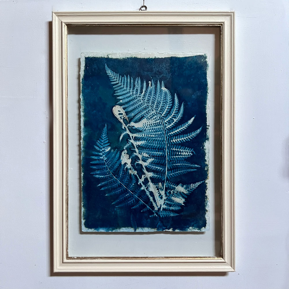 FRAMED CYANOPRINTS | BOTANICAL ARTWORK No: 9