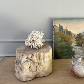 Small root wood antique tree stump | A
