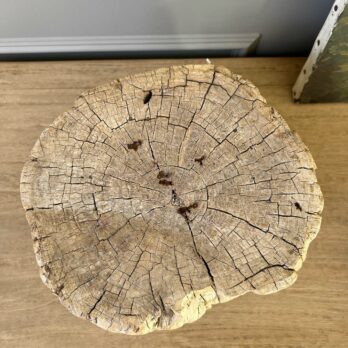 Small root wood antique tree stump | A