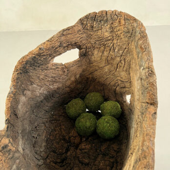 Antique Root Bowl 22