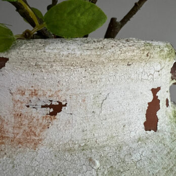 Antique Mediterranean Urn Ada