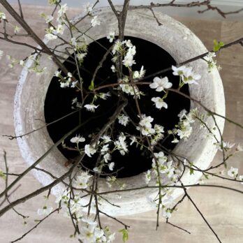 Large Antique Planter Urn | Anatolia