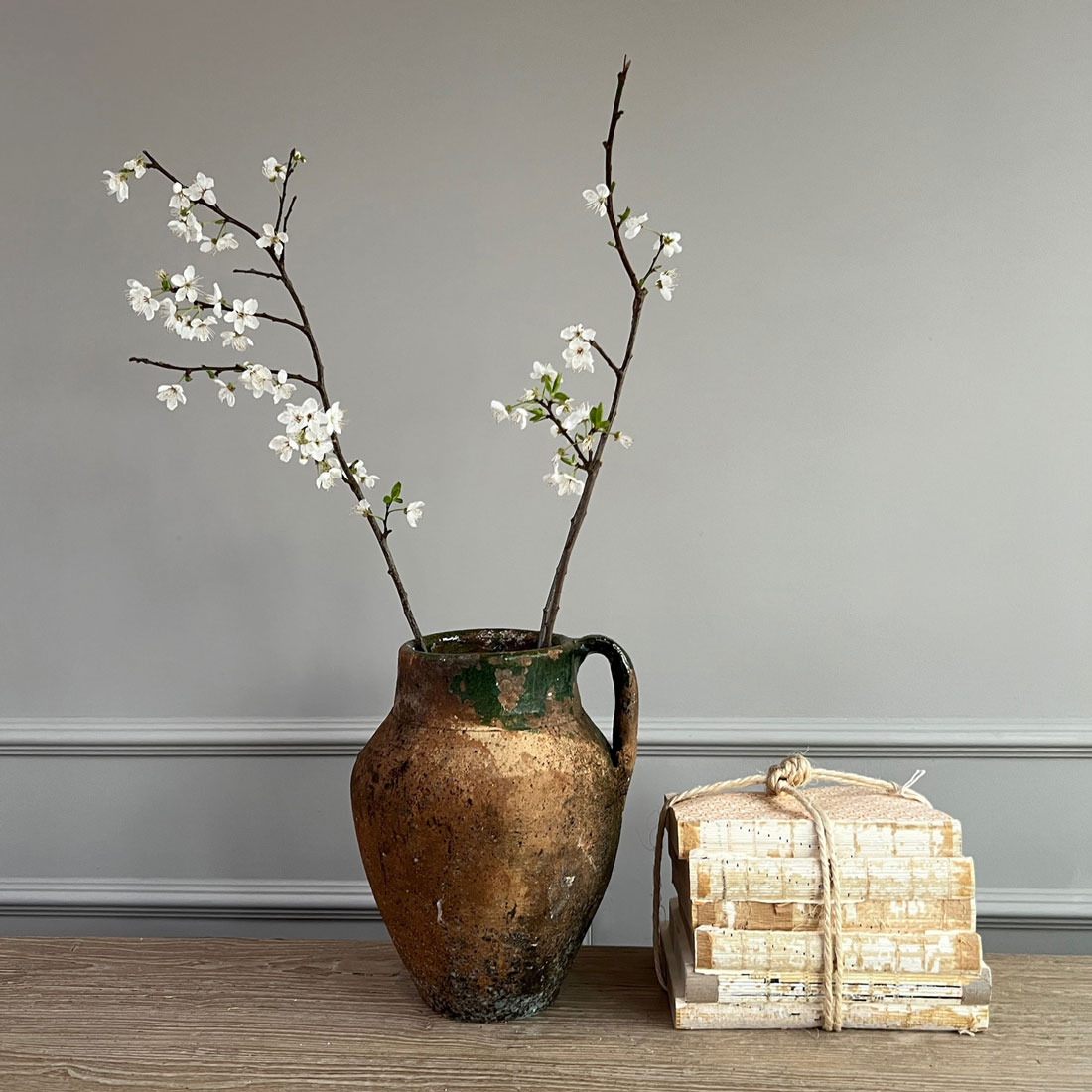 Antique Mediterranean Daphns