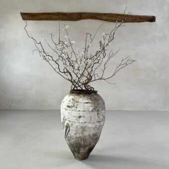 Antique Mediterranean Urn Julieta