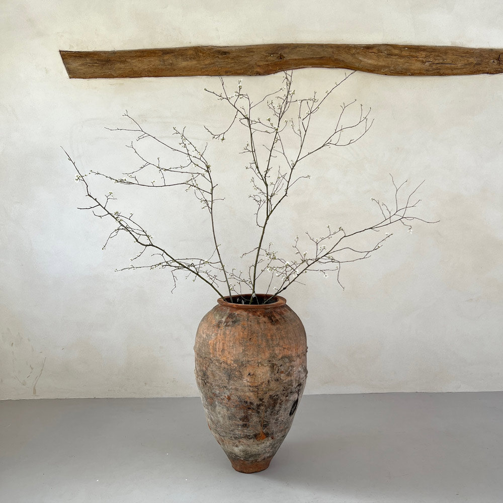 Antique Mediterranean Urn Alicia