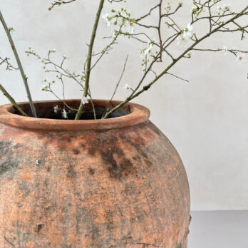 Antique Mediterranean Urn Alicia
