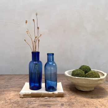 Pair of Victorian Apothecary Bottles B