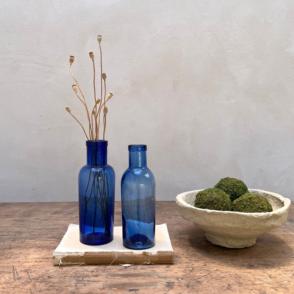 Pair of Victorian Apothecary Bottles B