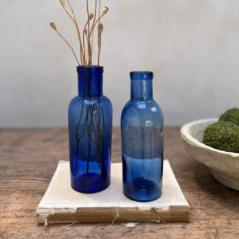 Pair of Victorian Apothecary Bottles B