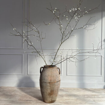 Antique Mediterranean Urn Isla