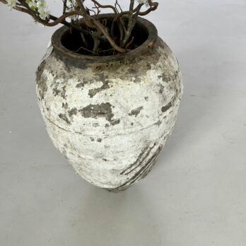 Antique Mediterranean Urn Julieta