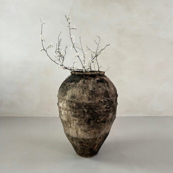 Antique Mediterranean Urn Savannah